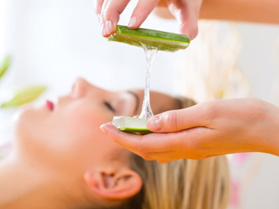 Dolphin spa chennai